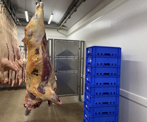 Beenhouwerij met hygiënische wanden en een stootplint op de wand